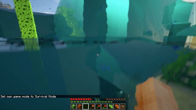 Minecraft 1.16.5 - Simple Sponge mod