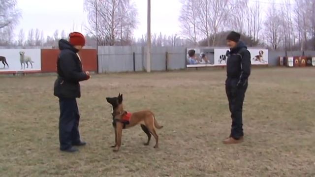 Жесть и Олег Макаров 8 ноября 2015 смотреть онлайн