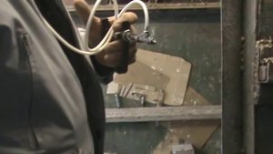 Вакцинация голубей, как проводить вакцинацию домашней птицы