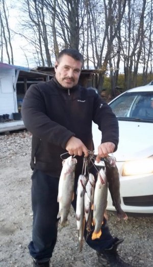 ЛОВЛЯ ФОРЕЛИ ОСЕНЬЮ! РЫБАЛКА В КОКИНО (НОВЫЙ ВОДОЕМ)