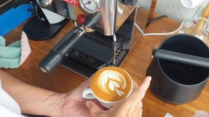 How i froth Milk with LELIT Anna PL41EM
