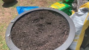 Plant With Me|Planting Proven Winners Flower Pillows|Container Gardening Ideas