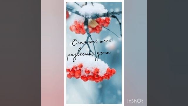 Угощение для птиц зимой смотреть онлайн