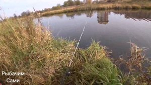 Рыбалка на живца много щуки в маленькой речке