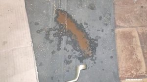 Ремонт двигателя Ланос 1.6 16V. Часть 1.