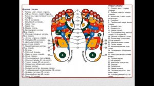 ПЛАСТЫРЬ-ДЕТОКСИКАНТ НА СТОПЫ