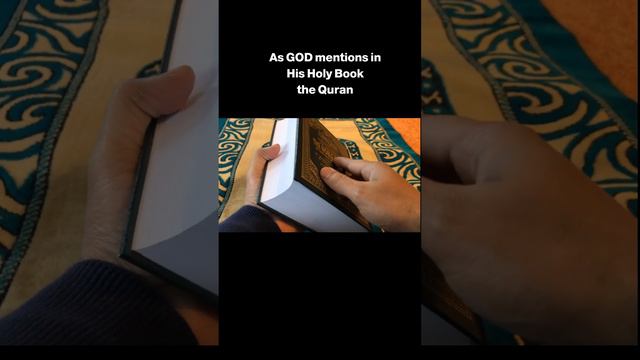 Holy Facts - Bismillah Facts