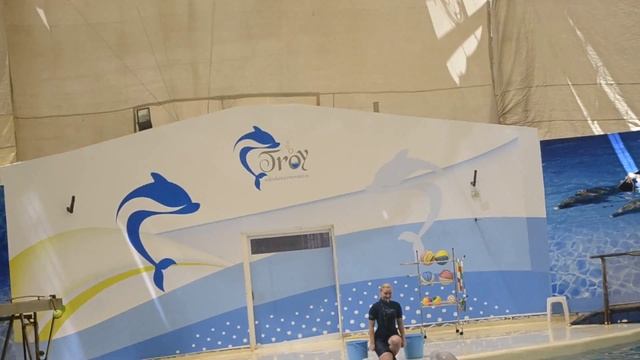 Дельфинарий Трой ч2 смотреть онлайн