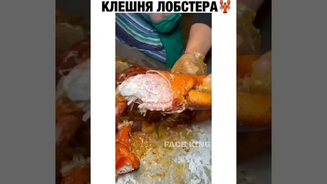 КЛЕШНЯ ЛОБСТЕРА