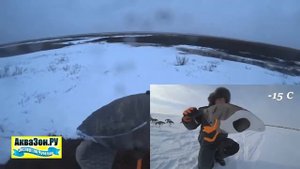 Чучела гусей Белолобый 3D Softplast