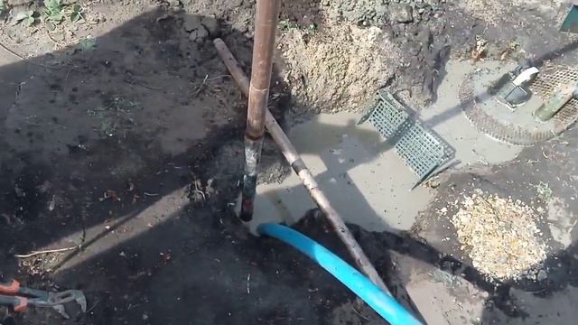 Все прелести Абиссинщика. Параллельная обсадка, Мега напор 3 КУБА, Водонос крупная галька. смотреть онлайн