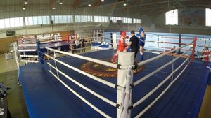 Юниорки (16-17) 71+кг  Маргарян Офелия (Тульская обл)  -  Борисова Елена (Московская обл)