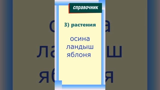 Имя существительное как часть речи