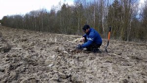 НЕОЖИДАННЫЕ НАХОДКИ МЕТАЛЛОИСКАТЕЛЕМ НА РАСПАХАННОМ ПОЛЕ! КОП СТАРИННЫХ МОНЕТ | Коп 2022 в Беларуси
