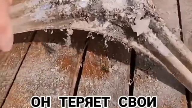 Использование некачественных стиральных порошков приводит к этому.mp4