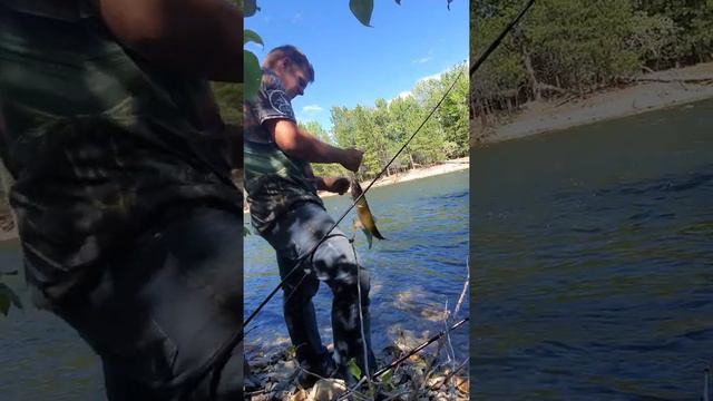 Fishing in Hamilton river