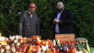 Как начать бизнес по продаже семян? Как зарабатывать на своем огороде?