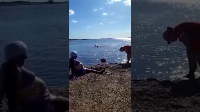 Это видео с лечебного Саксого  озёра .Здесь лечебная грязь;