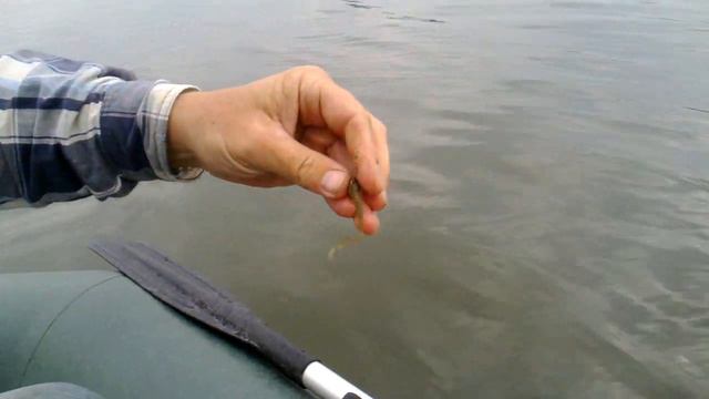 как и на что ловить окуня смотреть онлайн