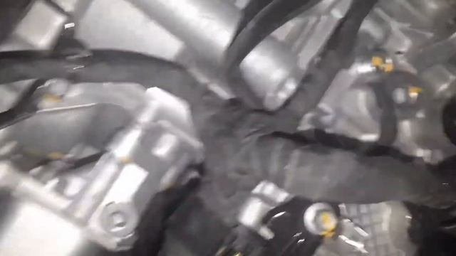 Где находится номер двигателя GW4C20 HAVAL F7