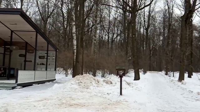 ИЗМАЙЛОВСКИЙ ПАРК ЗИМОЙ. КОЛЕСО ОБОЗРЕНИЯ, АТТРАКЦИОНЫ, КАТОК. смотреть онлайн