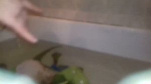 Что делать если дочь порезала вены