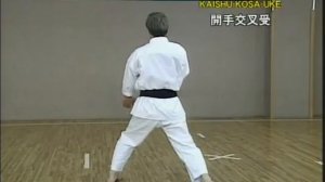 Kata HANGETSU por Shijan Hirokazu Kanazawa de Shotokan Karatedo