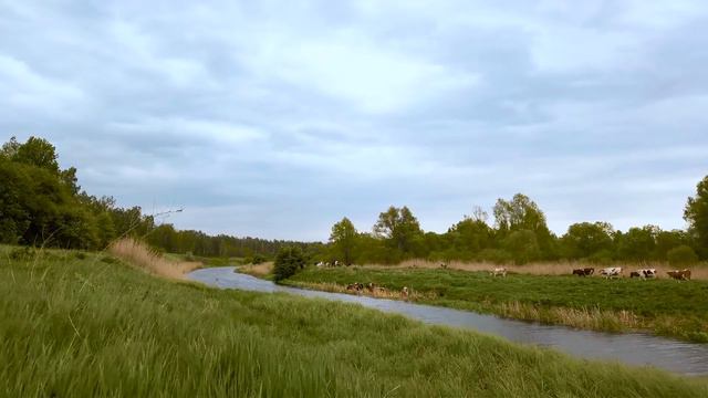 ГРАБИТЕЛИ украли ИКОНУ у старушки, но ОН заставил их ответить сполна! смотреть онлайн