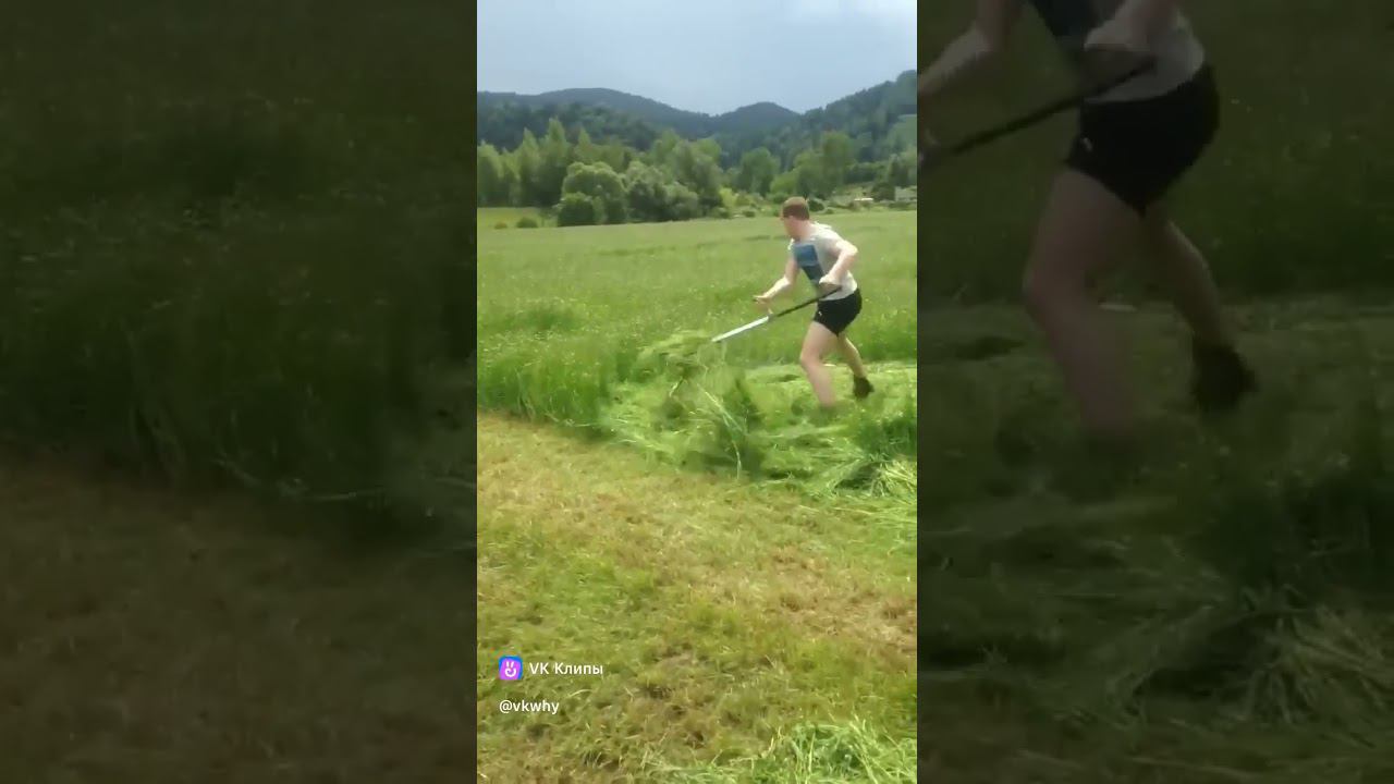 Трын трава смотреть онлайн