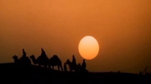 КАРАВАНЩИК