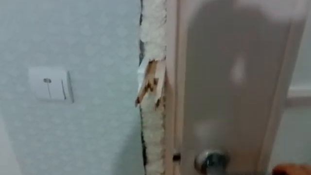 Поклеили обои и поставили двери смотреть онлайн