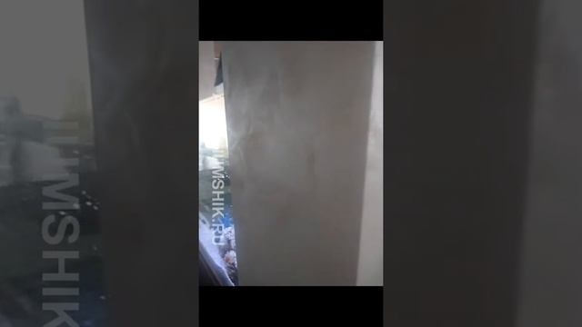 VID 20190302 Аквариум с кораллами ,, псевдоморе"