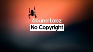 No Copyright Free Music | Spider Juice - Silent Partner