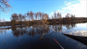 ОТВОДНОЙ ПОВОДОК ИЛИ МИКРОДЖИГ???