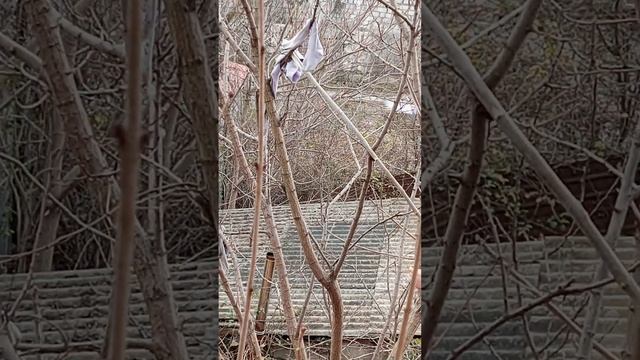 срадаем фигнёй ломаем кресло, достоём колготки с дерева смотреть онлайн