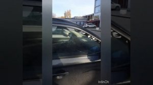 рабочие будни газелистки 🚚