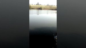 рыбалка в орловке Белгородская Область