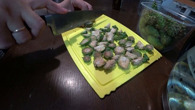 Полезный чай из сосновых шишек