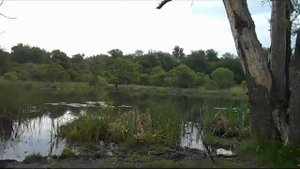 Озеро "Круглое" в Подгорном,в Воронеже.