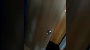 Не покупайте бумажные двери !