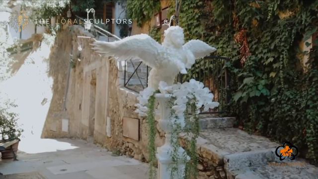 Phalaenopsis by Walter смотреть онлайн