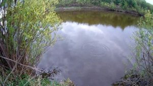 Обухово рыбалка р Пышма