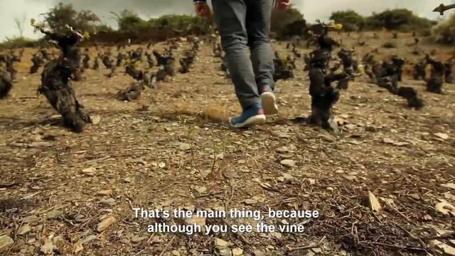 WA_Authentic 1x02 Elaborar vino by Spanish Winemakers смотреть онлайн