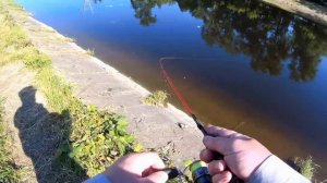 Окунь на мормышинг, микро джиг риг, сплит шот.