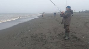 Камчатка, рыбалка навага на Охотском море.