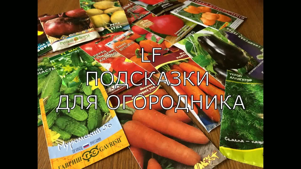Семена видео