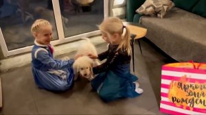 Подарили щенка!! Первый день в семье)