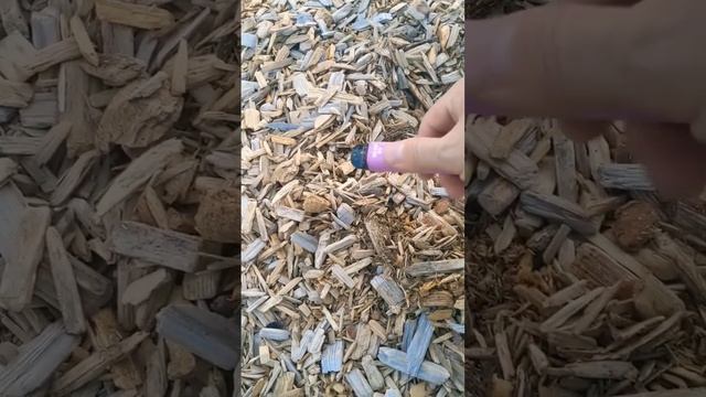 Another Vape Metal Detecting at the Park! - 416 Treasure Hunters #metaldetecting #metaldetector смотреть онлайн