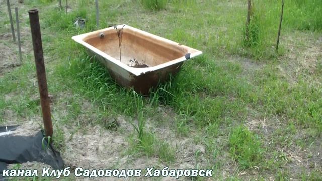 СРЕДСТВА от СОРНЯКОВ . ТЕСТ ПРОТИВ СОРНЯКОВ с РЕЗУЛЬТАТОМ ! смотреть онлайн