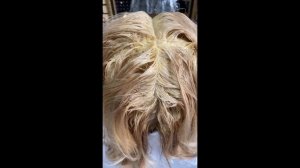 Твоя огненная колористка - ретушь седины